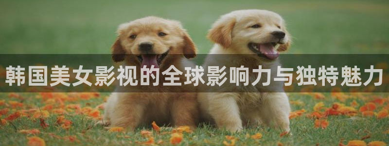 青苹果影院yy6090在线观看