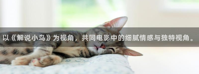 青苹果影院69