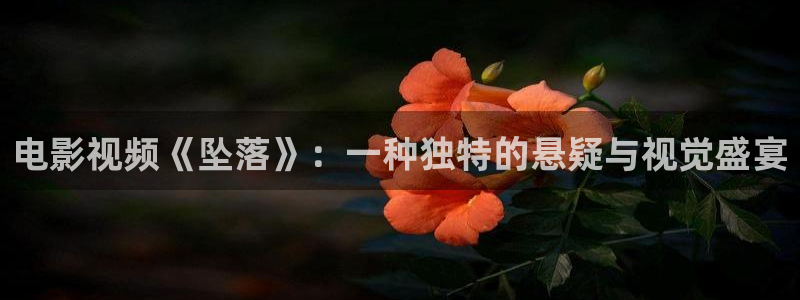 青苹果卫视
