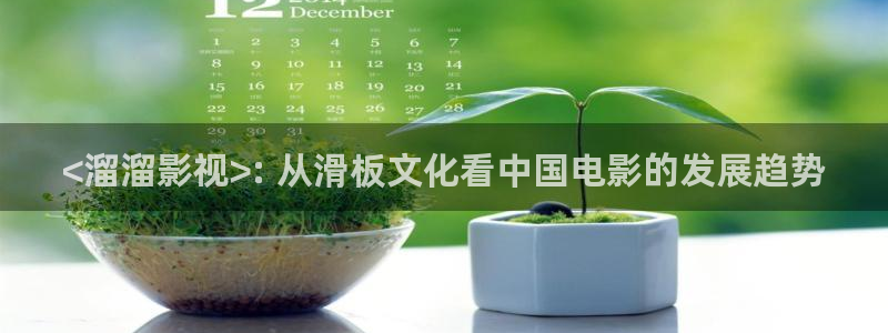 青苹果乐园在线播放电视剧