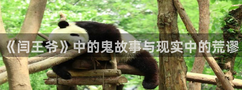 青苹果6080新视觉