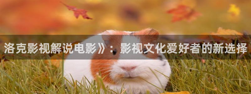 青苹果影院理论视频