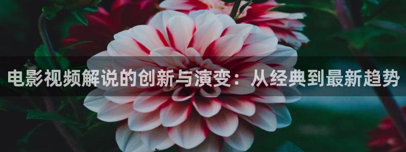 6069青苹果院