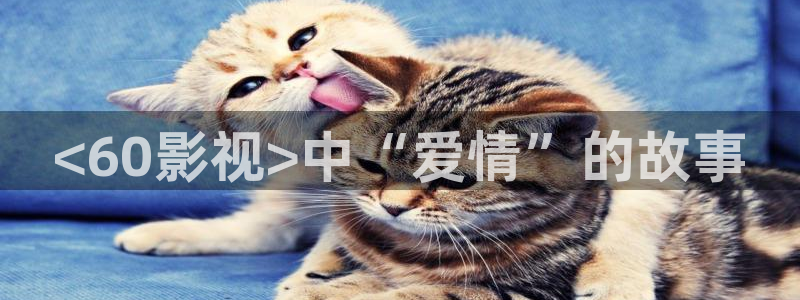 青苹果影院2020电视剧最新