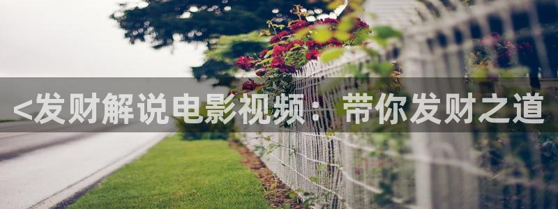 青苹果乐园影院免费观看综艺