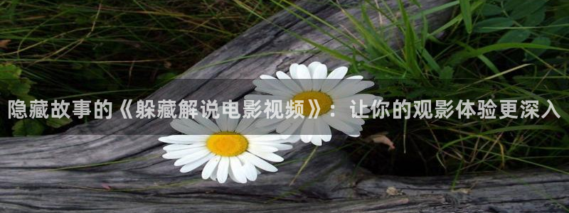 新视觉影院青苹果影院