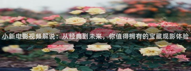 青苹果影视yy 48