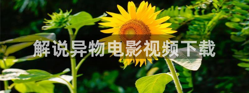 青苹果影院乐园免费观看