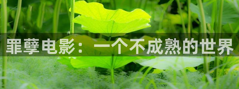 yy4480青苹果乐园免费播放电视剧新