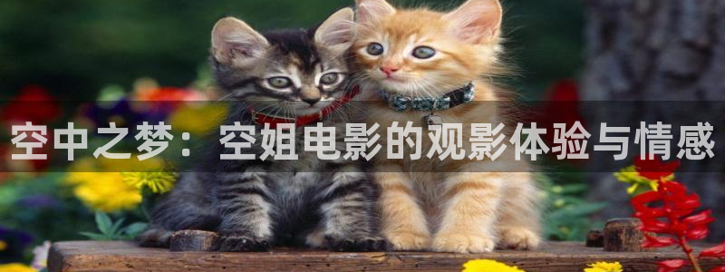 yy4480青苹果在线观看