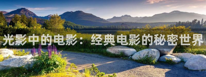 a4yy青苹果影院