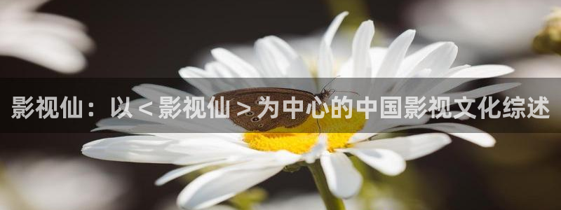 青苹果无删减