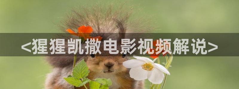 青苹果私人影视