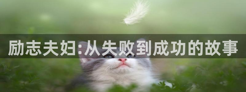 青苹果乐园影院在线观看电视剧