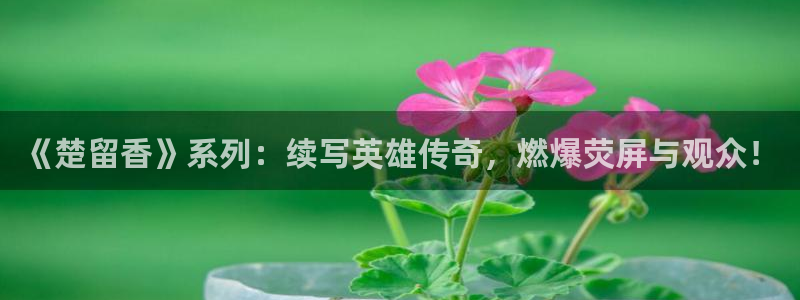 青苹果乐园免费观看电视剧高清yy48：《楚留香》系列：续写英雄传奇，燃爆荧屏与观众！
