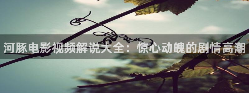 yy青苹果电影