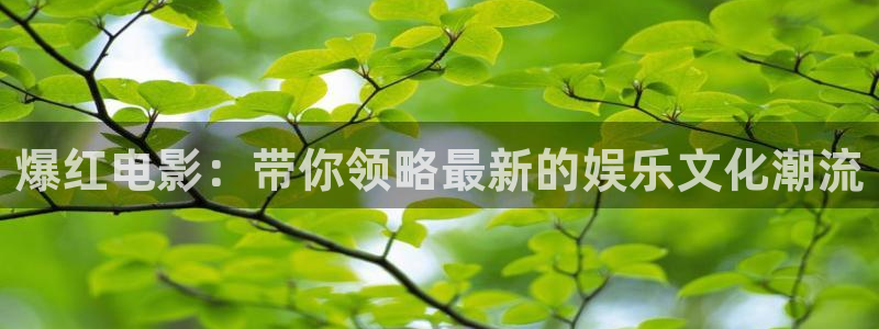 青苹果乐园影视免费观看电视剧下载：爆红电影：带你领略最新的娱乐文化潮流