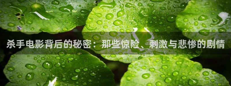 青苹果影院456