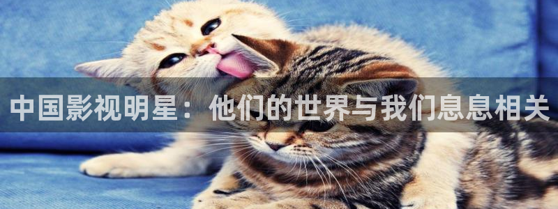 8090yy青苹果影院