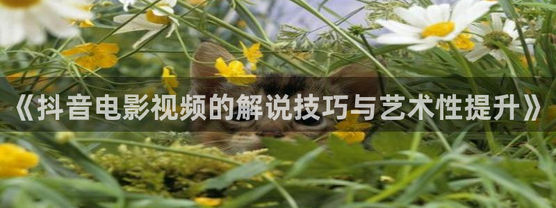 青苹果yy4480免费：《抖音电影视频的解说技巧与艺术性提升》