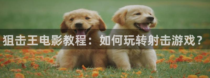 4488青苹果院影电影