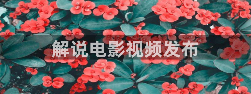 yy6090青苹果影院在线观看