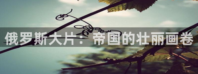 青苹果影视午夜