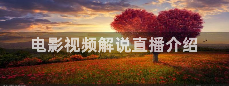 青苹果在线观看免费高清电视剧大全