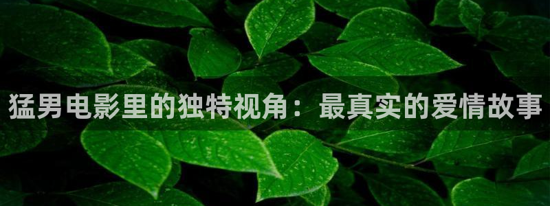 4480青苹果乐园影院电视剧免费播放