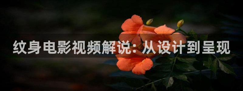 青苹果影院电影电视剧
