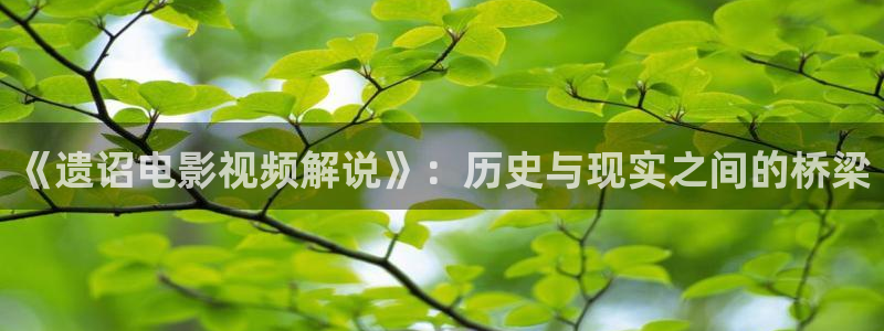 yy6080080青苹果影院