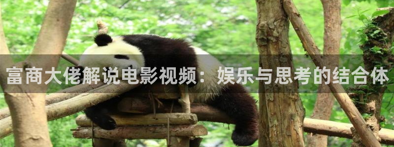 青苹果在线电视剧免费观看