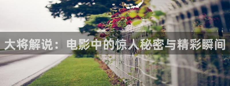 青苹果动漫