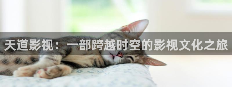 青苹果乐园在线播放电视剧