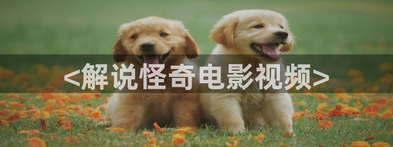 yy4480青苹果