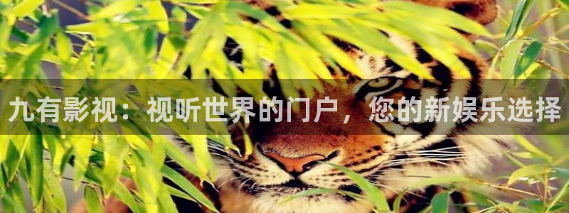 青苹果 免费观看